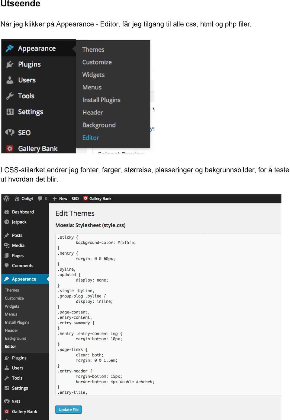 I CSS stilarket endrer jeg fonter, farger, størrelse,