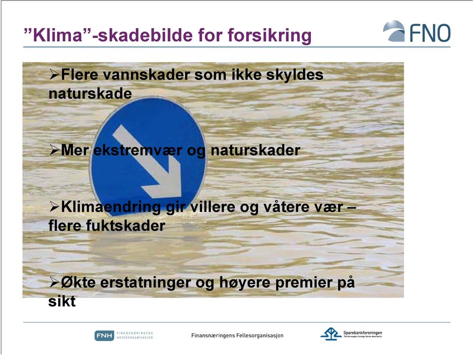 naturskader Klimaendring gir villere og våtere vær