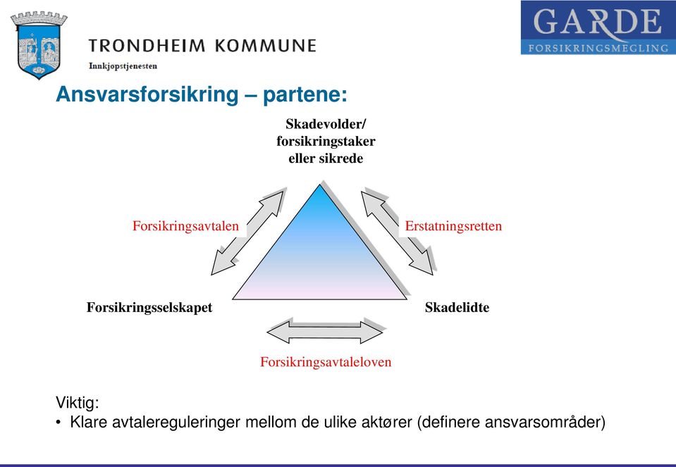 Forsikringsselskapet Skadelidte Forsikringsavtaleloven