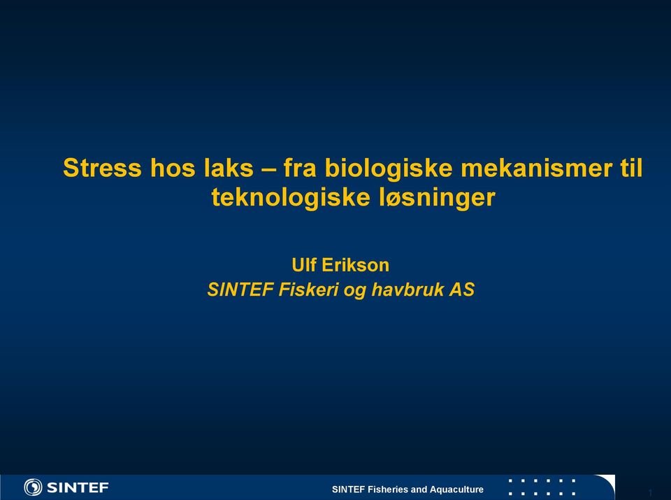 løsninger Ulf Erikson SINTEF