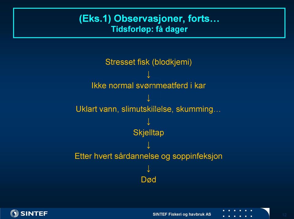 Uklart vann, slimutskillelse, skumming Skjelltap Etter