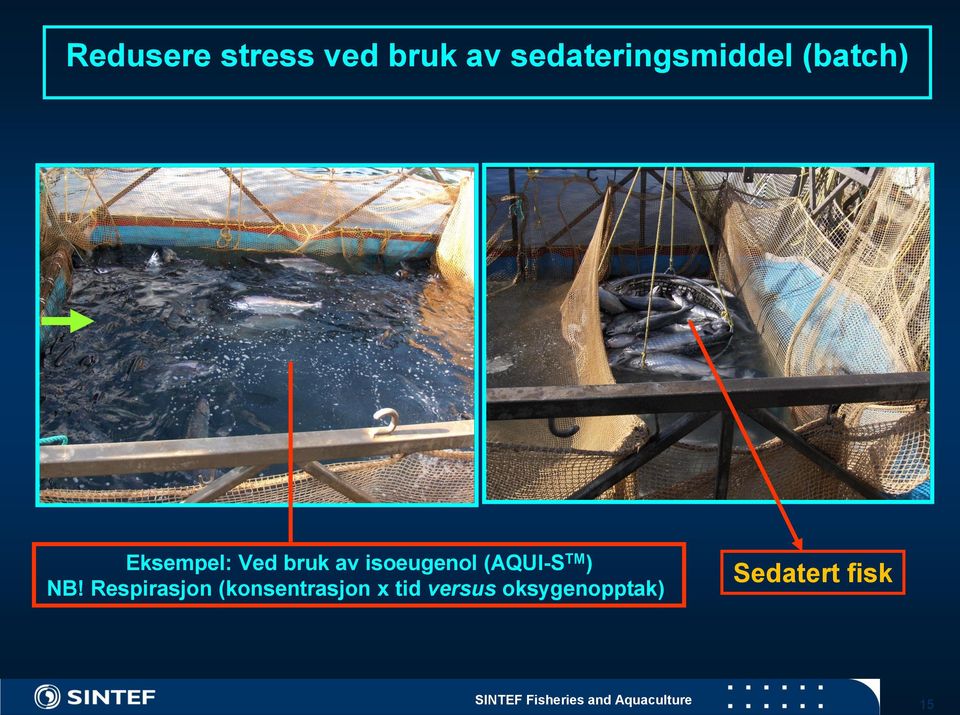 ) NB! Respirasjon (konsentrasjon x tid versus