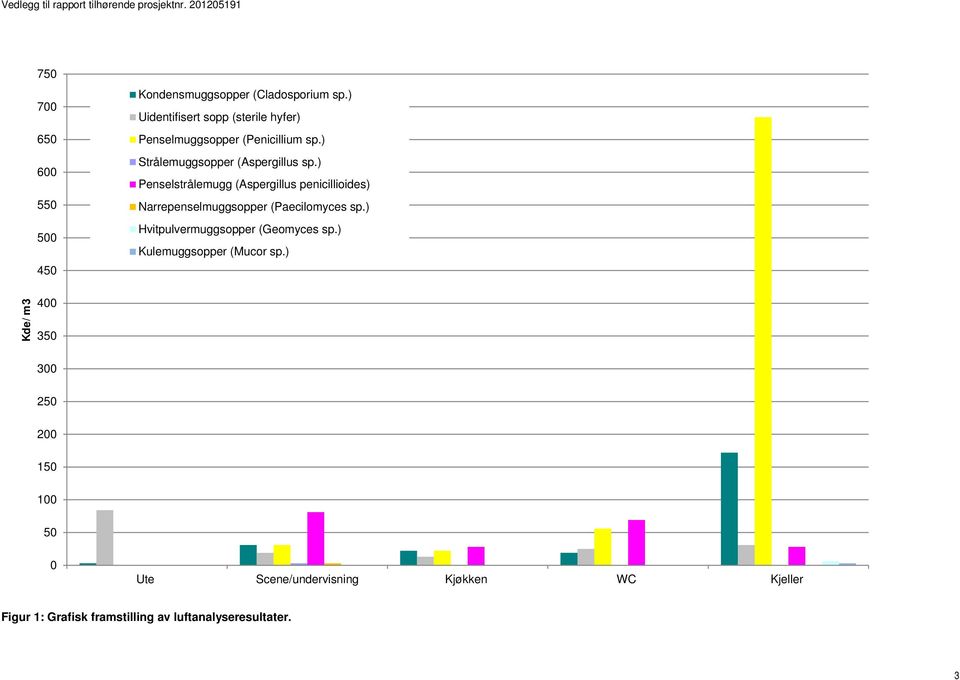 ) Penselstrålemugg (Aspergillus penicillioides) Narrepenselmuggsopper (Paecilomyces sp.) Hvitpulvermuggsopper (Geomyces sp.