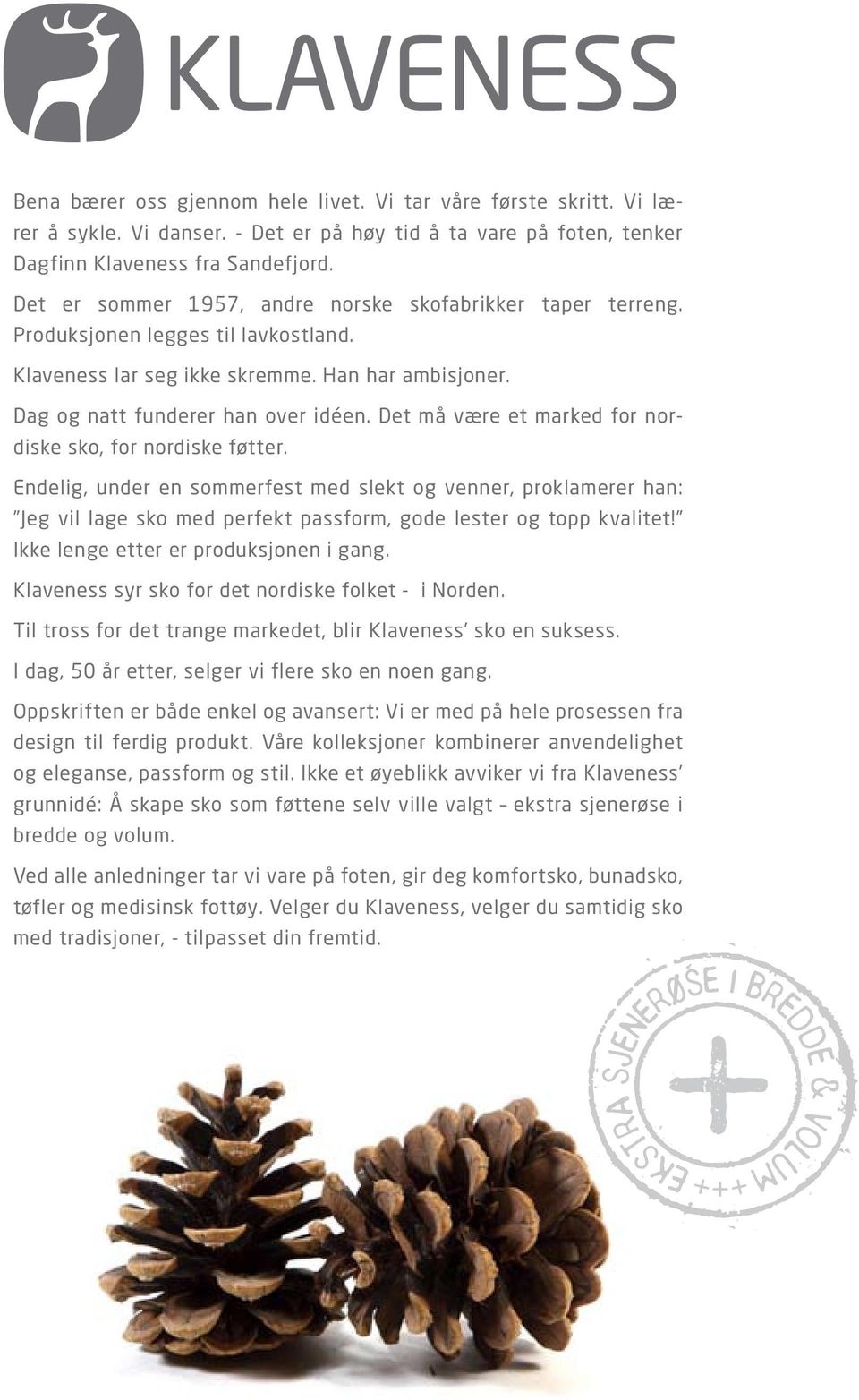 Det må være et marked for nordiske sko, for nordiske føtter. Endelig, under en sommerfest med slekt og venner, proklamerer han: Jeg vil lage sko med perfekt passform, gode lester og topp kvalitet!