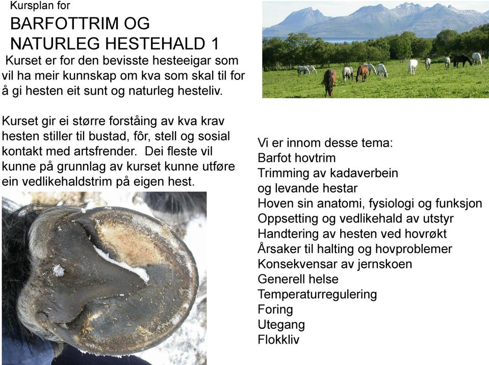 Dei fleste vil kunne på grunnlag av kurset kunne utføre ein vedlikehaldstrim på eigen hest.