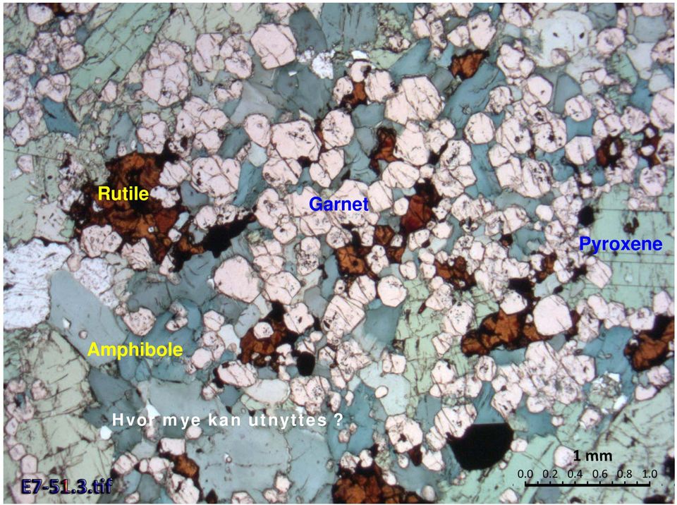 Amphibole