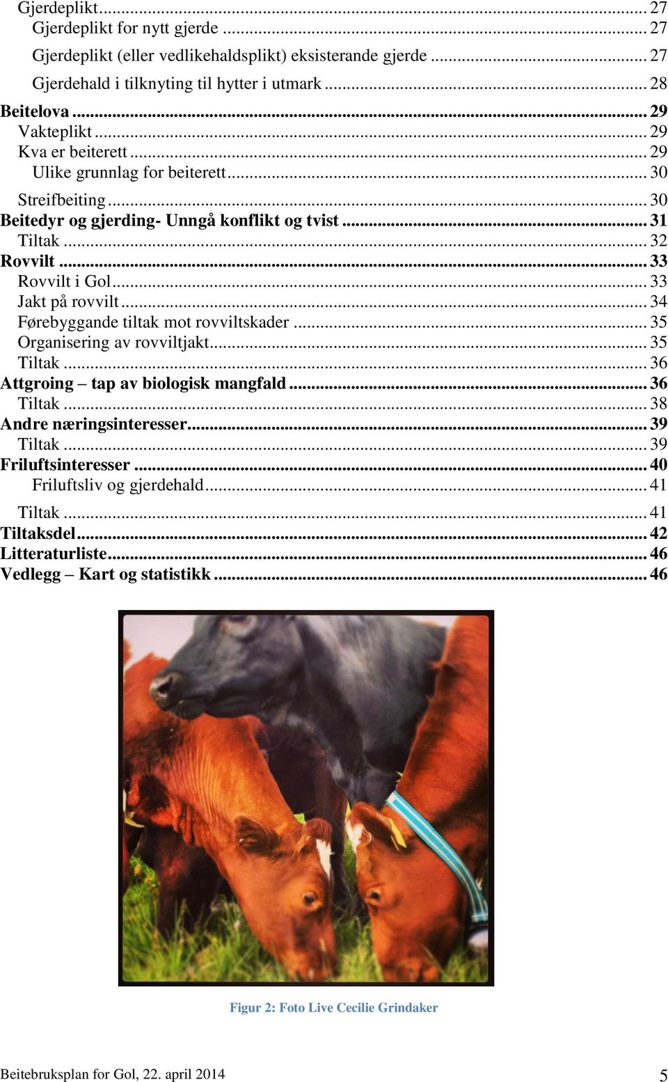 .. 34 Førebyggande tiltak mot rovviltskader... 35 Organisering av rovviltjakt... 35 Tiltak... 36 Attgroing tap av biologisk mangfald... 36 Tiltak... 38 Andre næringsinteresser... 39 Tiltak.