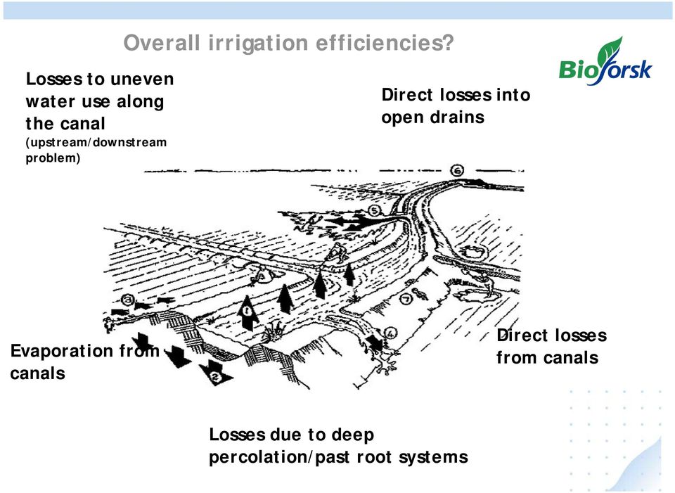 efficiencies?