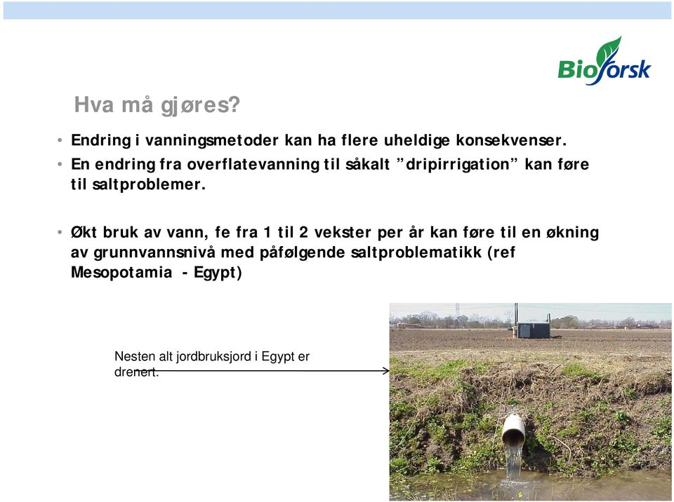 Økt bruk av vann, fe fra 1 til 2 vekster per år kan føre til en økning av grunnvannsnivå