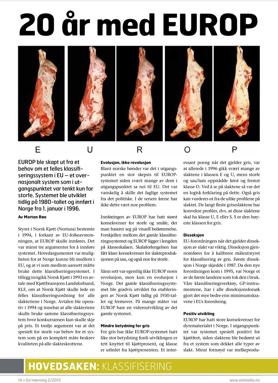 Av Morten Røe Styret i Norsk Kjøtt (Nortura) bestemte i 1994, i forkant av EU-folkeavstemningen, at EUROP skulle innføres. Det var minst tre argumenter for å innføre systemet.