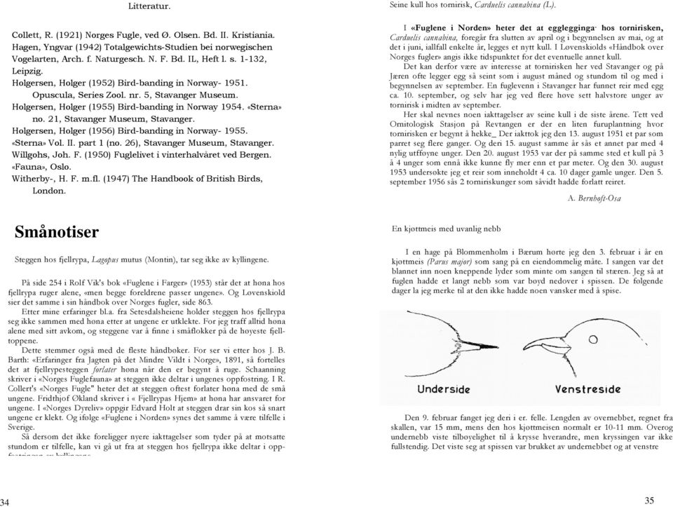 21, Stavanger Museum, Stavanger. Holgersen, Holger (1956) Bird-banding in Norway- 1955. «Sterna» Vol. II. part 1 (no. 26), Stavanger Museum, Stavanger. Willgohs, Joh. F.