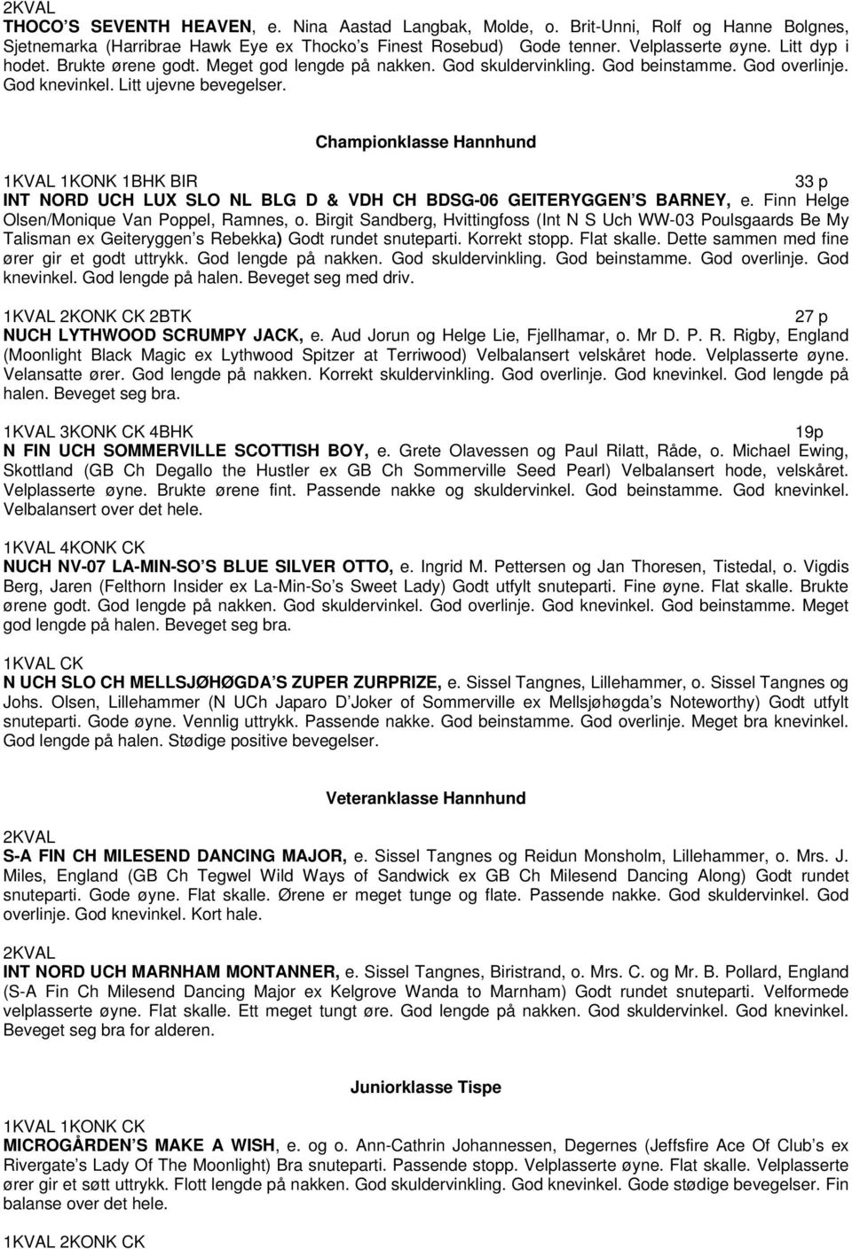 Championklasse Hannhund 1KONK 1BHK BIR 33 p INT NORD UCH LUX SLO NL BLG D & VDH CH BDSG-06 GEITERYGGEN S BARNEY, e. Finn Helge Olsen/Monique Van Poppel, Ramnes, o.