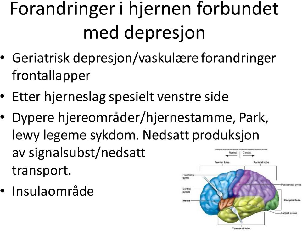 spesielt venstre side Dypere hjereområder/hjernestamme, Park, lewy