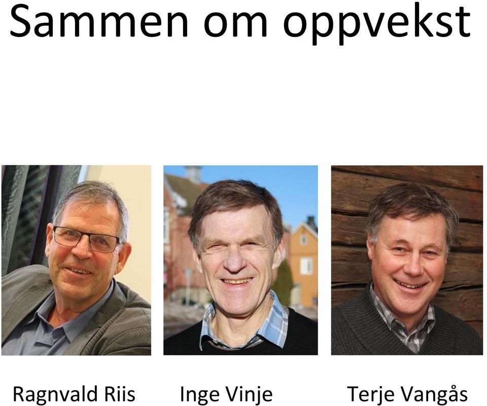 Vinje