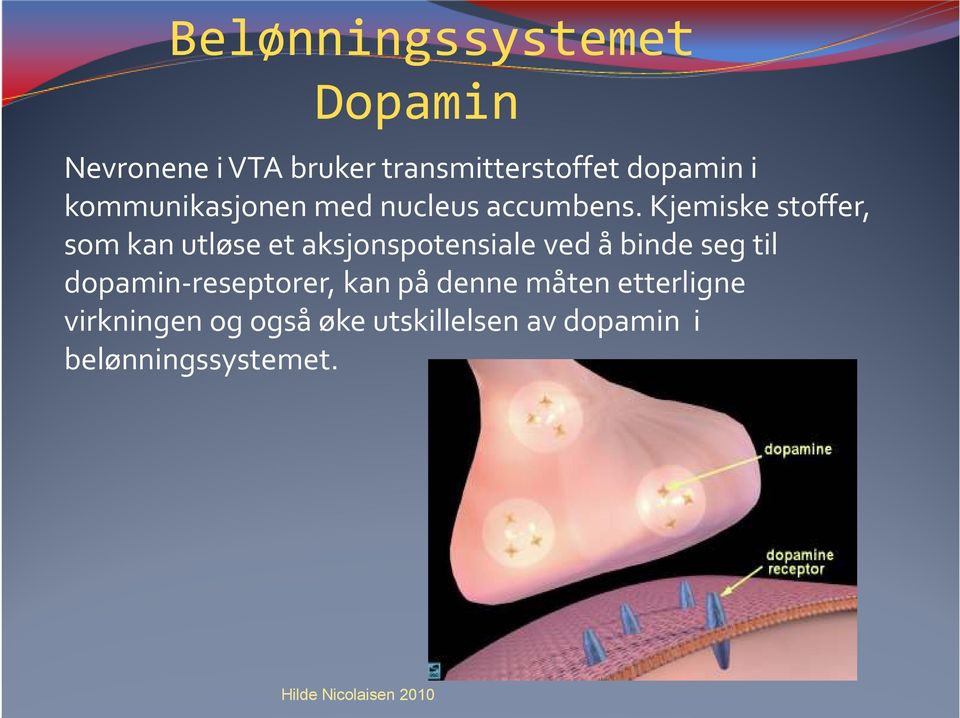 Kjemiske stoffer, som kan utløse et aksjonspotensiale ved å binde seg til