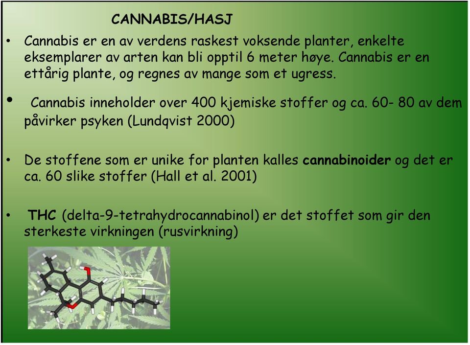 60-80 av dem påvirker psyken (Lundqvist 2000) De stoffene som er unike for planten kalles cannabinoider og det er ca.