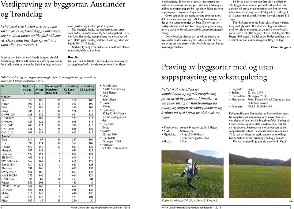 Dette var ikkje flat legde, men plantene var sterkt bøygd ned. Dette gjaldt særleg sortane Hilose og Fibar som hadde 20-50 legde.