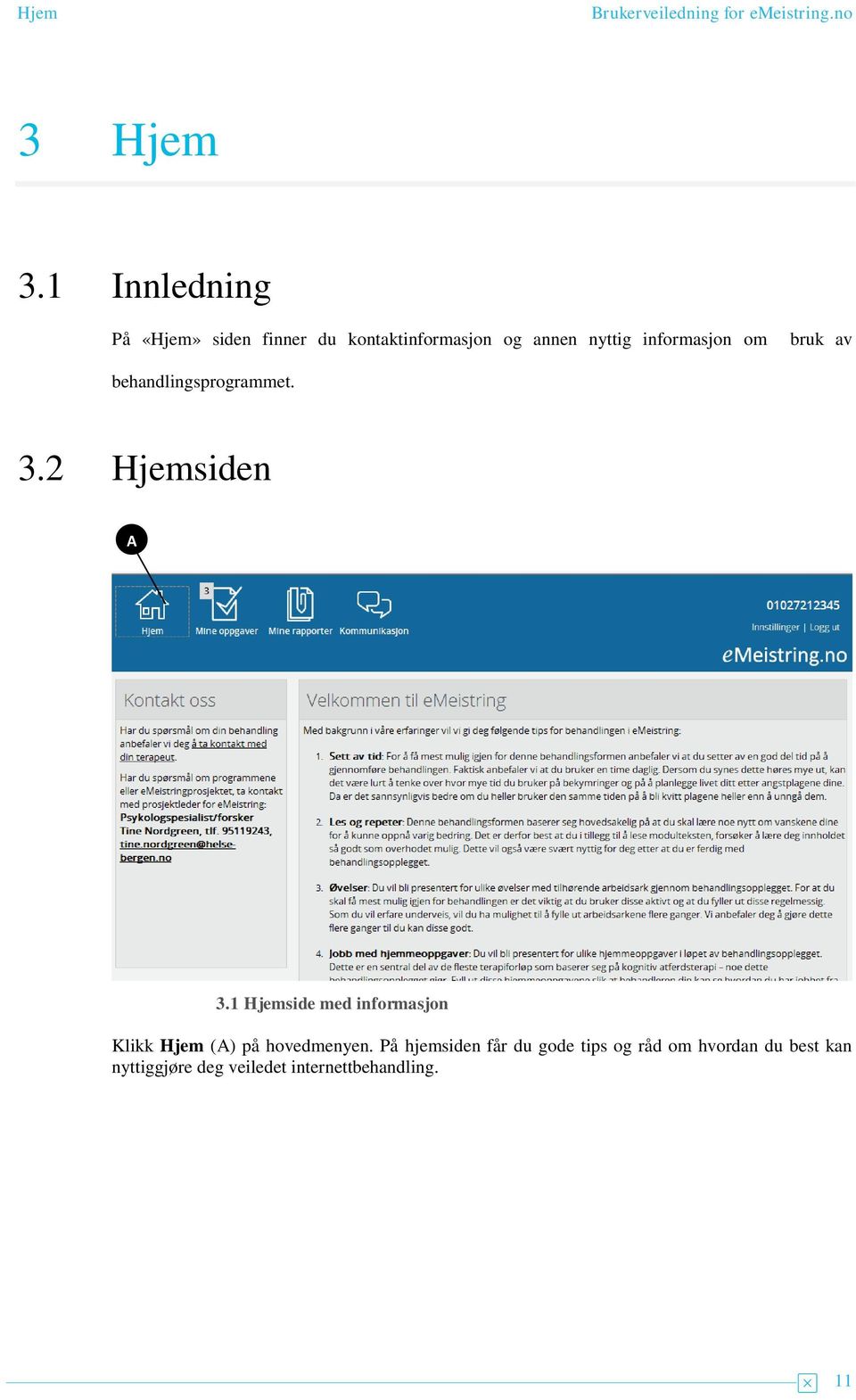 informasjon om bruk av behandlingsprogrammet. 3.2 Hjemsiden 3.