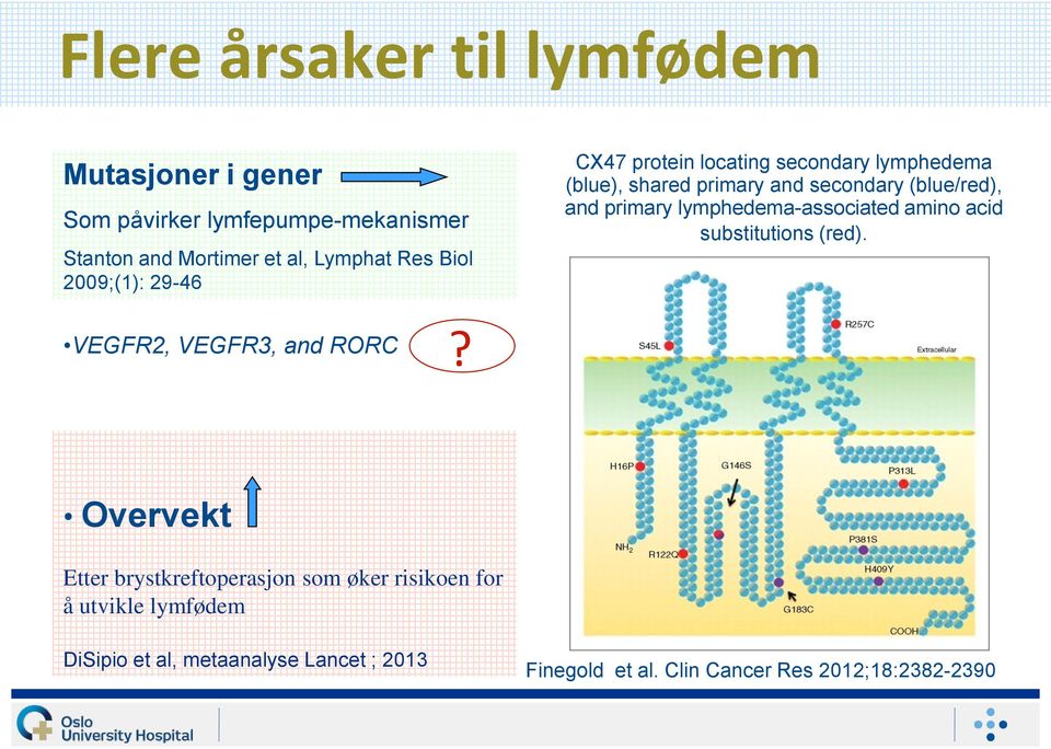 primary lymphedema-associated amino acid substitutions (red). VEGFR2, VEGFR3, and RORC?