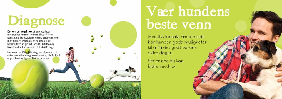 seg. Når man har fått riktig diagnose, kan man bli enige om behandling, mosjon og kosthold for å oppnå best mulig resultat for hunden.