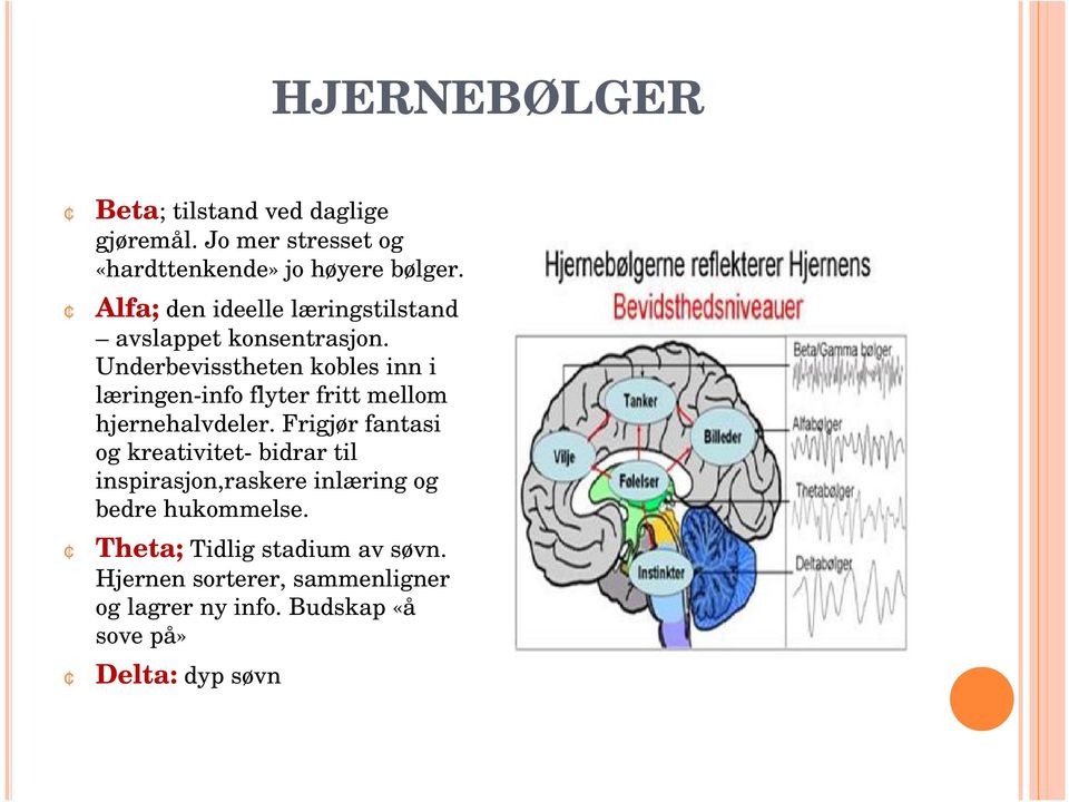 Underbevisstheten kobles inn i læringen-info flyter fritt mellom hjernehalvdeler.