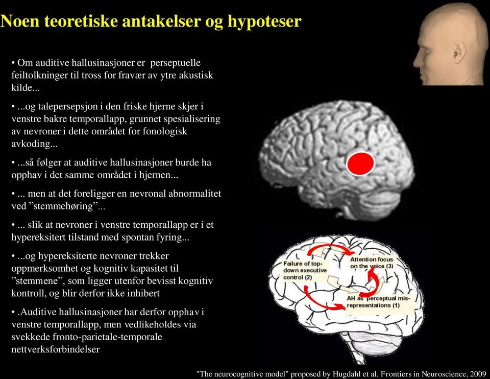 .....så følger at auditive hallusinasjoner burde ha opphav i det samme området i hjernen...... men at det foreligger en nevronal abnormalitet ved stemmehøring.