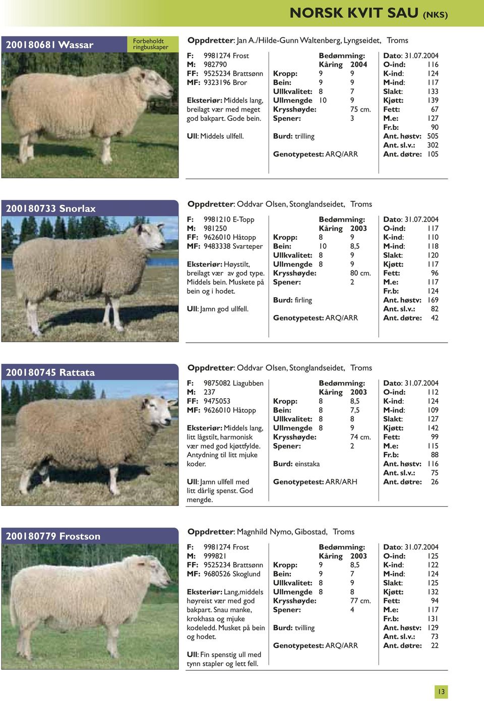 Ull: Middels ullfell. Kropp: 9 9 Bein: 9 9 Ullkvalitet: 8 7 Ullmengde 10 9 Krysshøyde: 75 cm. Spener: 3 Genotypetest: ARQ/ARR O-ind: 116 K-ind: 124 M-ind: 117 Slakt: 133 Kjøtt: 139 Fett: 67 M.