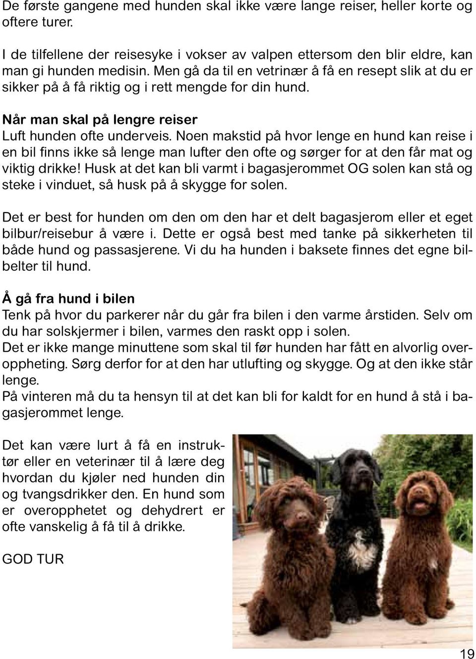 Noen makstid på hvor lenge en hund kan reise i en bil finns ikke så lenge man lufter den ofte og sørger for at den får mat og viktig drikke!