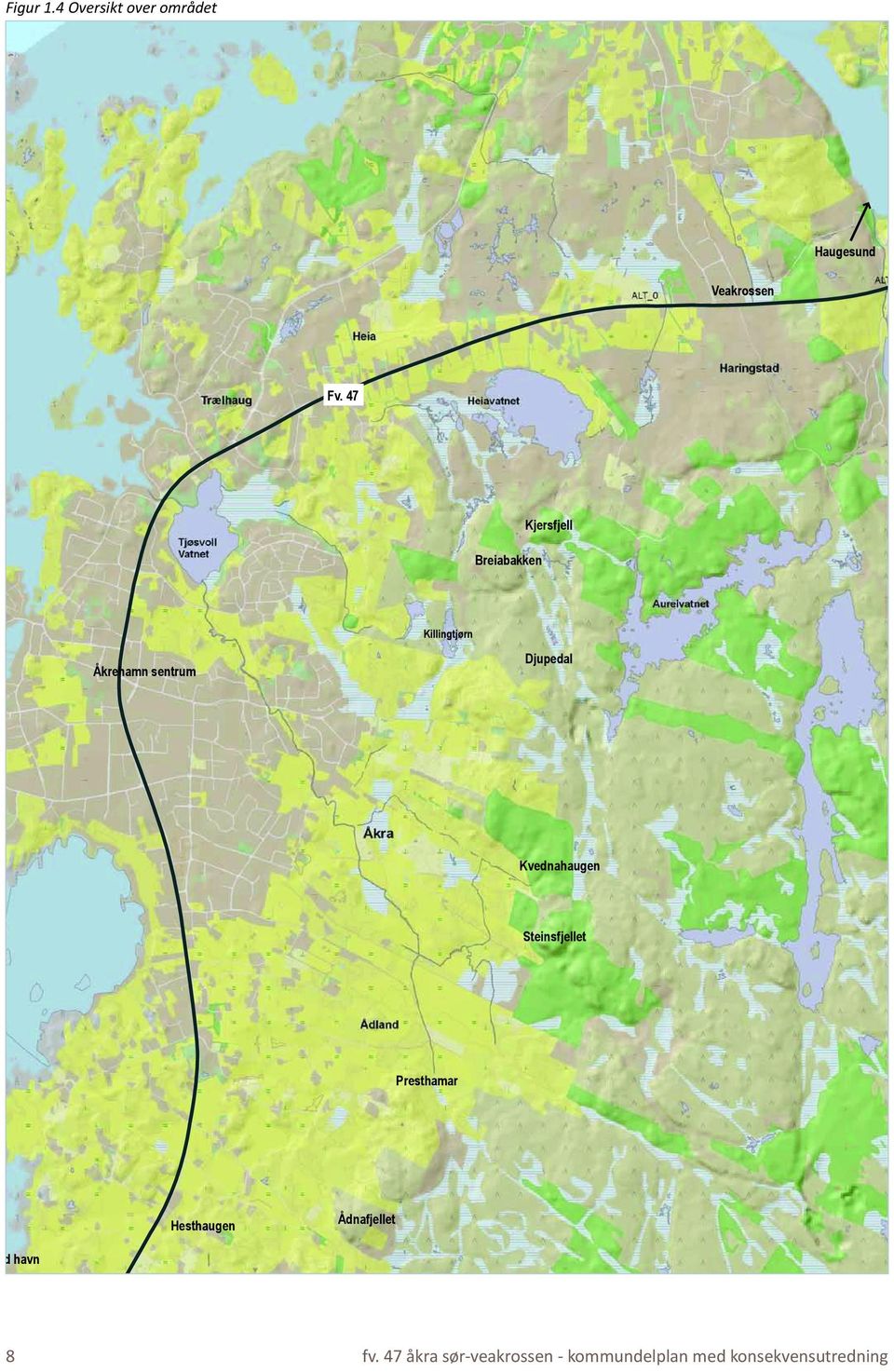 Kvednahaugen Steinsfjellet Presthamar Hesthaugen Ådnafjellet