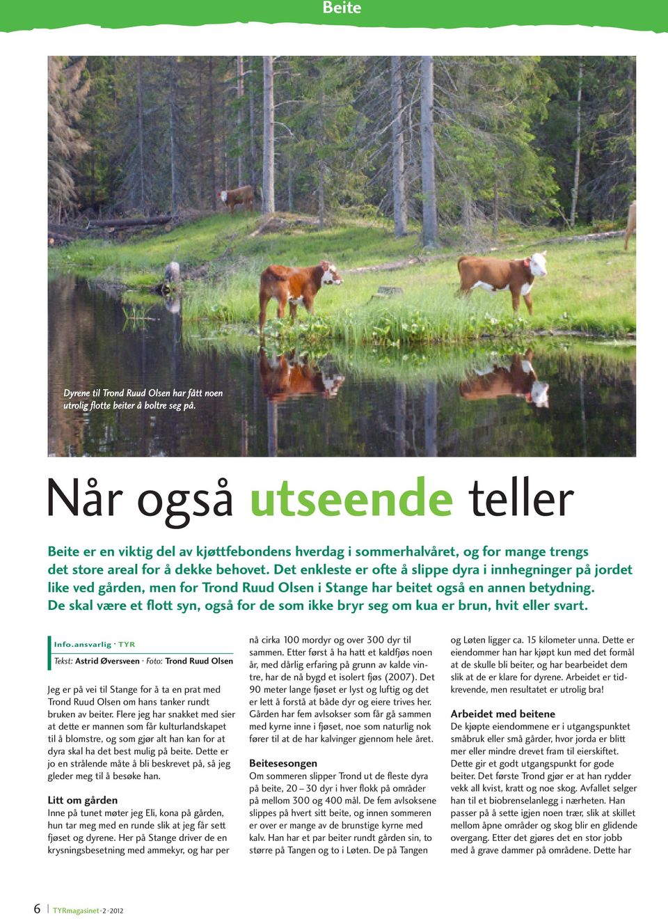 Det enkleste er ofte å slippe dyra i innhegninger på jordet like ved gården, men for Trond Ruud Olsen i Stange har beitet også en annen betydning.