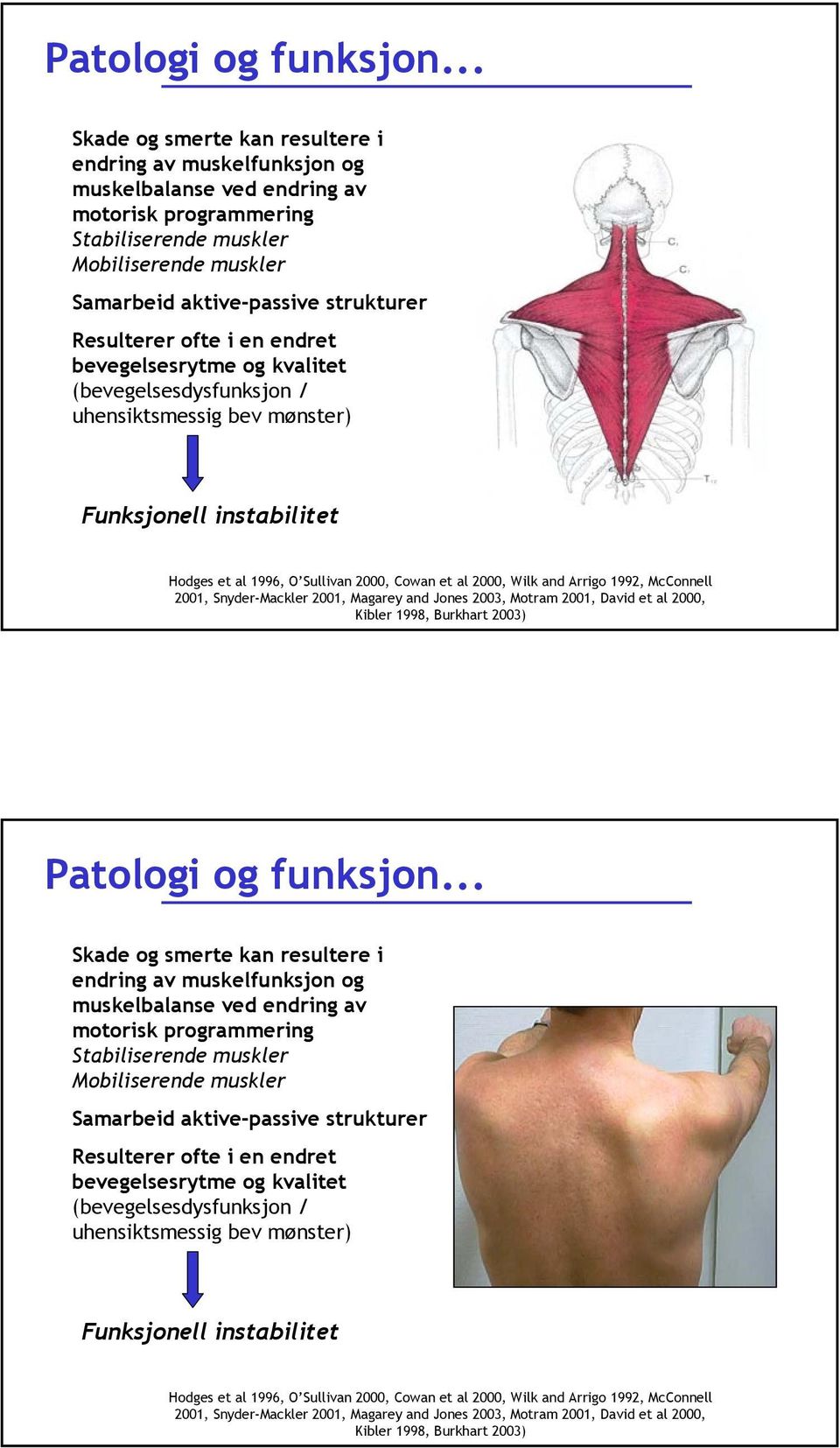 Resulterer ofte i en endret bevegelsesrytme og kvalitet (bevegelsesdysfunksjon / uhensiktsmessig bev mønster) Funksjonell instabilitet Hodges et al 1996, O Sullivan 2000, Cowan et al 2000, Wilk and