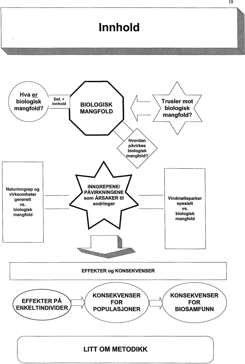 biologisk mangfold INNGREPENE/ PÅVIRKNINGENE som ÅRSAKER til endringer Vmdmølleparker spesielt vs.