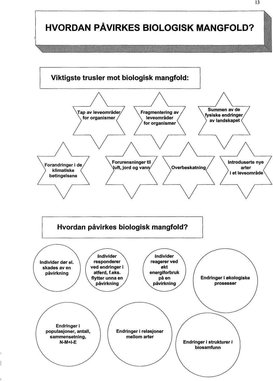 i de klimatiske betingelsene Forurensninger til uft, jord og van Overbeskatning Introduserte nye arter i et leveområde Hvordan påvirkes biologisk mangfold? Individer dør el.