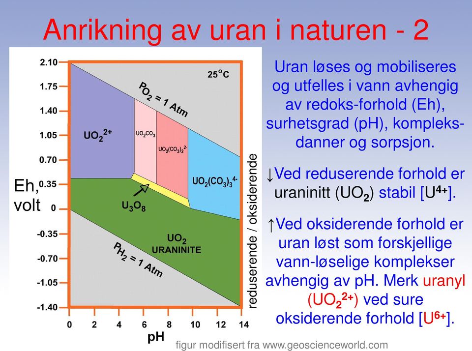 reduserende / oksiderende Ved reduserende forhold er uraninitt (UO 2 ) stabil [U 4+ ].