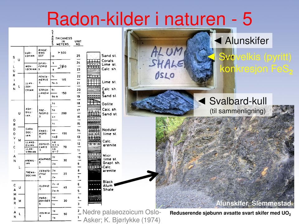 palaeozoicum Oslo- Asker; K.