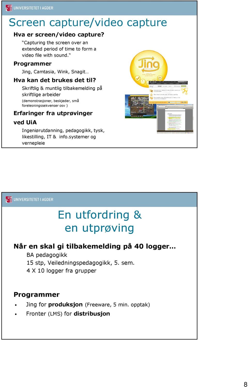 Skriftlig & muntlig tilbakemelding på skriftlige arbeider (demonstrasjoner, beskjeder, små forelesningssekvenser osv ) Erfaringer fra utprøvinger ved UiA Ingeniørutdanning,