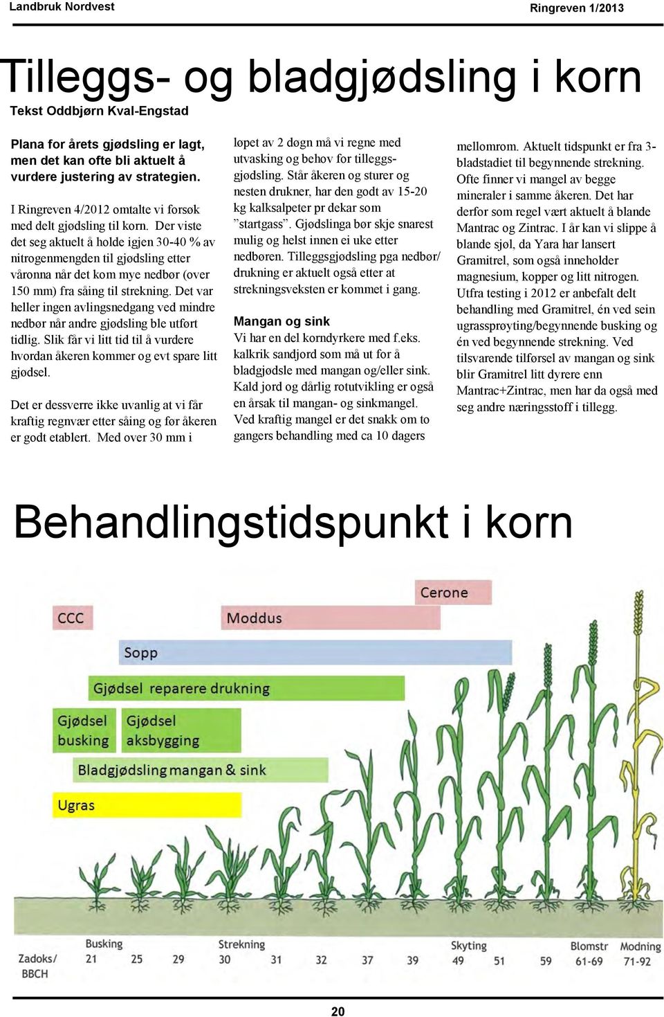 Der viste det seg aktuelt å holde igjen 30-40 % av nitrogenmengden til gjødsling etter våronna når det kom mye nedbør (over 150 mm) fra såing til strekning.