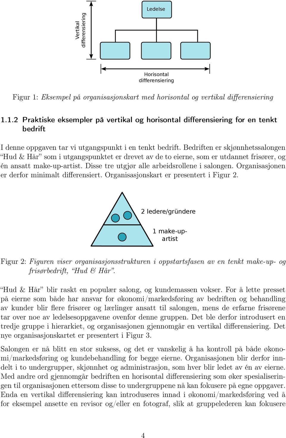 1.2 Praktiske eksempler på vertikal og horisontal differensiering for en tenkt bedrift I denne oppgaven tar vi utgangspunkt i en tenkt bedrift.