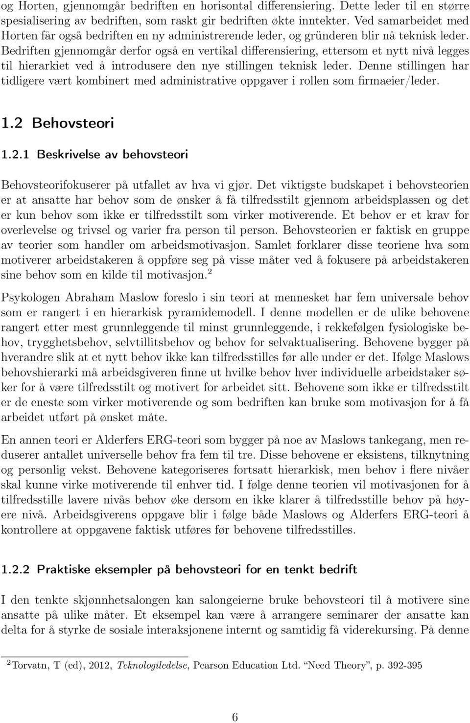 Bedriften gjennomgår derfor også en vertikal differensiering, ettersom et nytt nivå legges til hierarkiet ved å introdusere den nye stillingen teknisk leder.