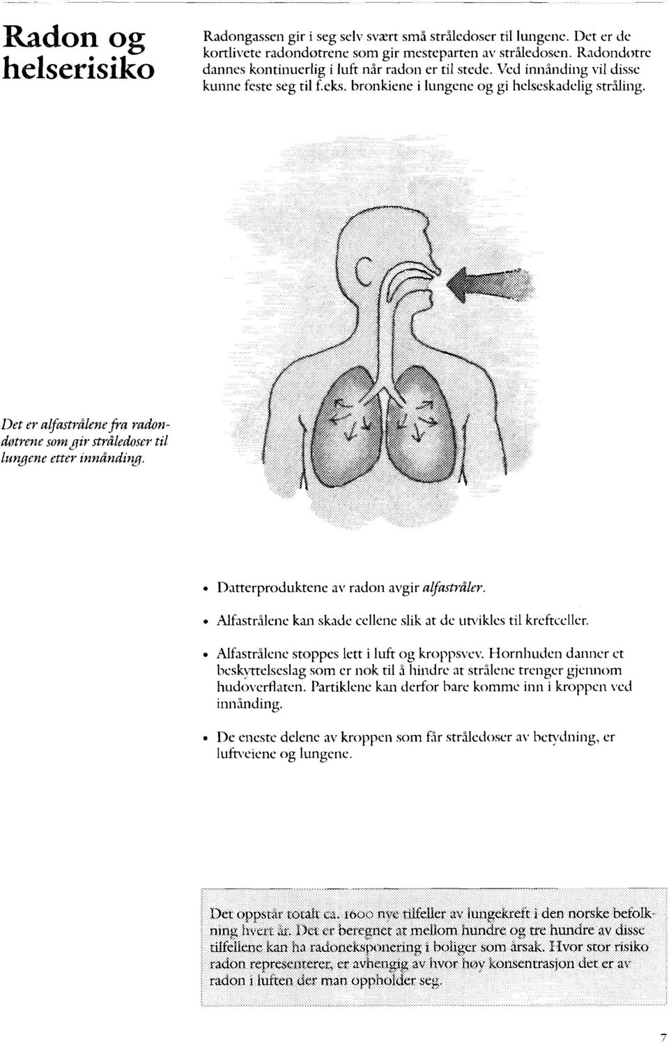 Det er alfastråkne fra radondøtrene som gir stråledoser til lungene etter innånding. Datterproduktene av radon avgir alfastråler. Alfastrålene kan skade cellene slik at de utviklcs til kreftceller.