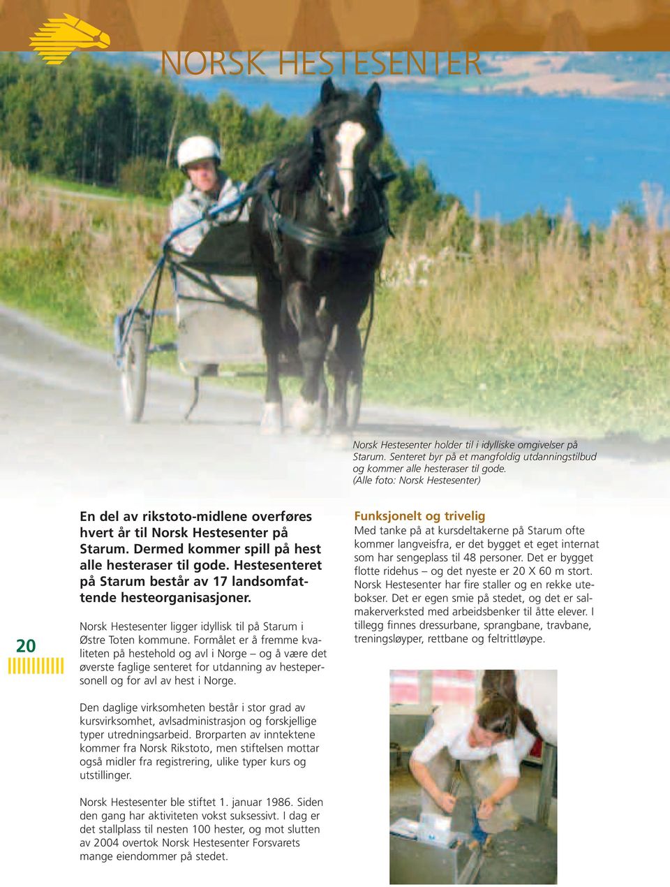 Hestesenteret på Starum består av 17 landsomfattende hesteorganisasjoner. Norsk Hestesenter ligger idyllisk til på Starum i Østre Toten kommune.