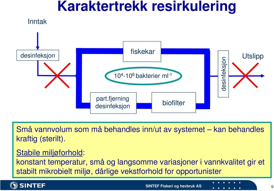 fjerning desinfeksjon biofilter Små vannvolum som må behandles inn/ut av systemet kan behandles