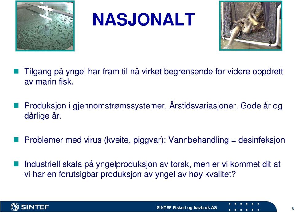 Problemer med virus (kveite, piggvar): Vannbehandling = desinfeksjon Industriell skala på