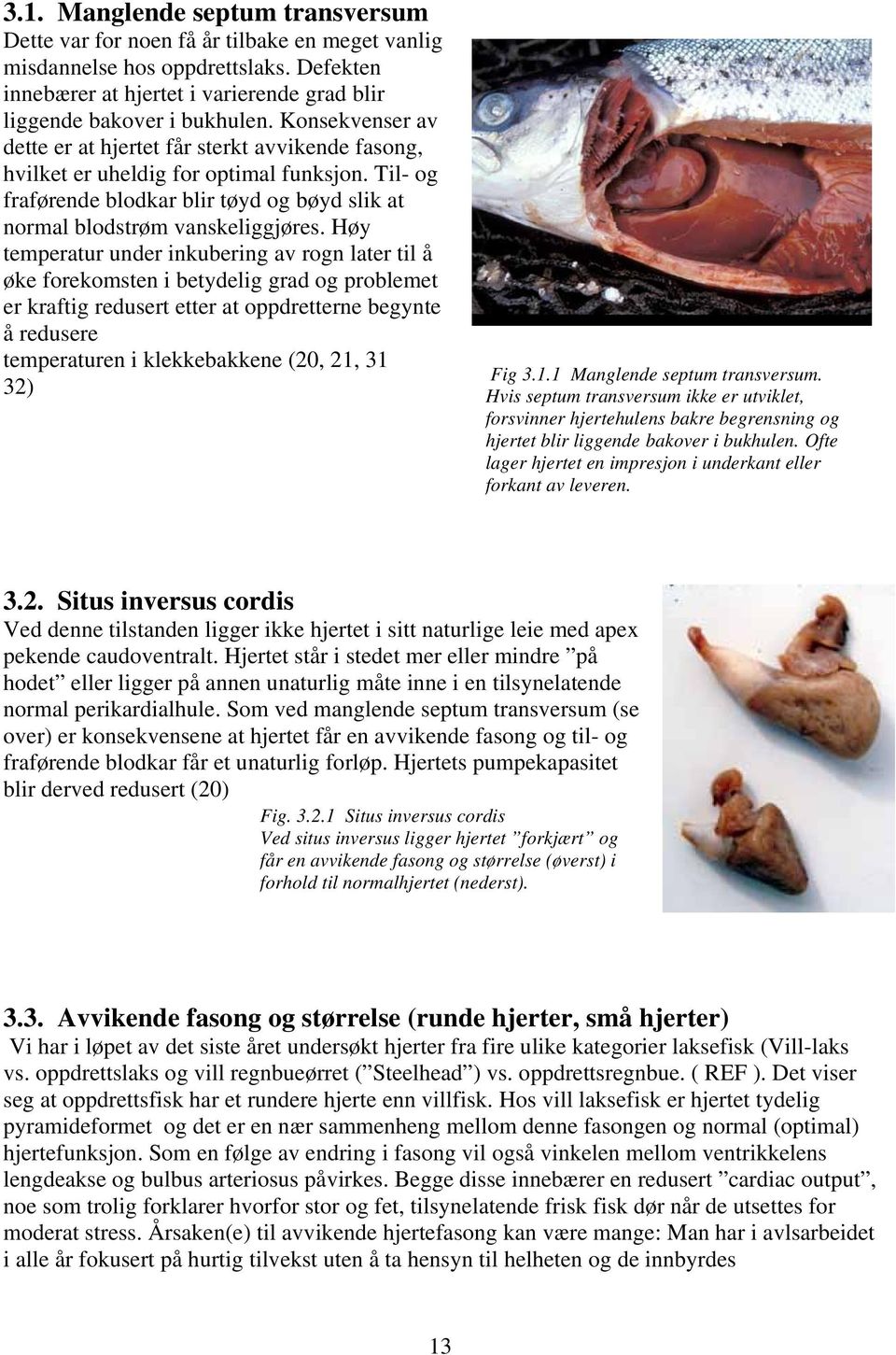 Høy temperatur under inkubering av rogn later til å øke forekomsten i betydelig grad og problemet er kraftig redusert etter at oppdretterne begynte å redusere temperaturen i klekkebakkene (20, 21, 31