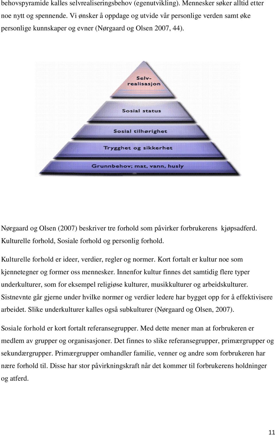 Nørgaard og Olsen (2007) beskriver tre forhold som påvirker forbrukerens kjøpsadferd. Kulturelle forhold, Sosiale forhold og personlig forhold. Kulturelle forhold er ideer, verdier, regler og normer.