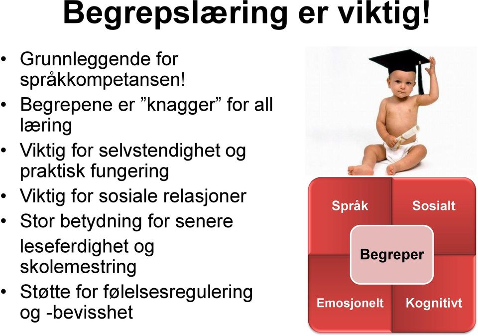 fungering Viktig for sosiale relasjoner Stor betydning for senere leseferdighet