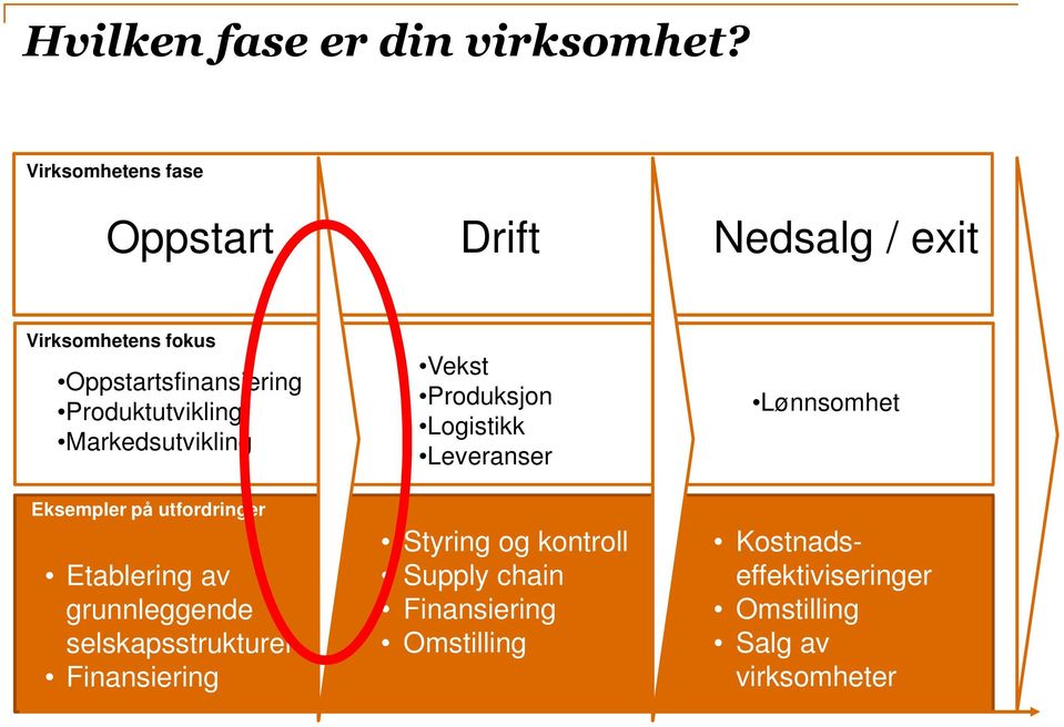 Produktutvikling Markedsutvikling Eksempler på utfordringer Etablering av grunnleggende selskapsstrukturer