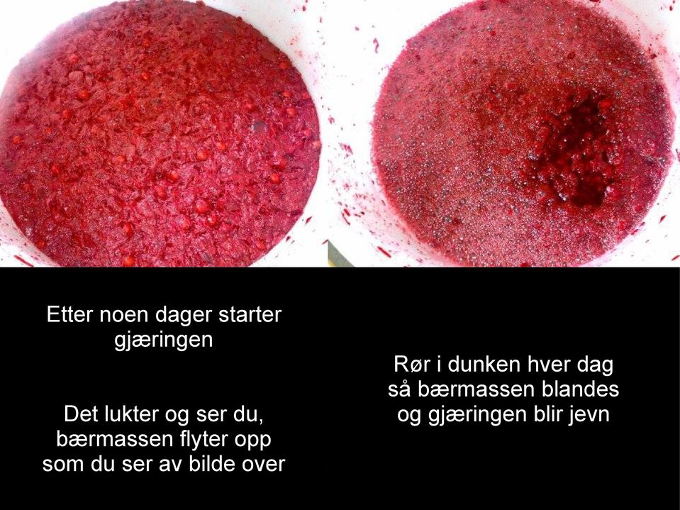 som du ser av bilde over Rør i dunken