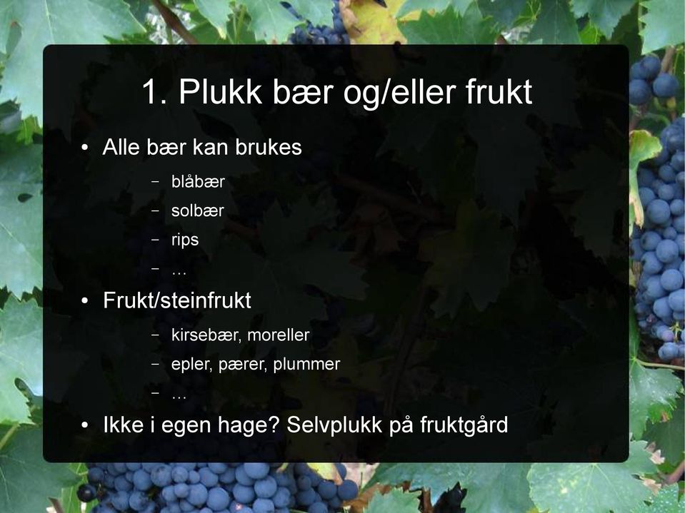 Frukt/steinfrukt kirsebær, moreller