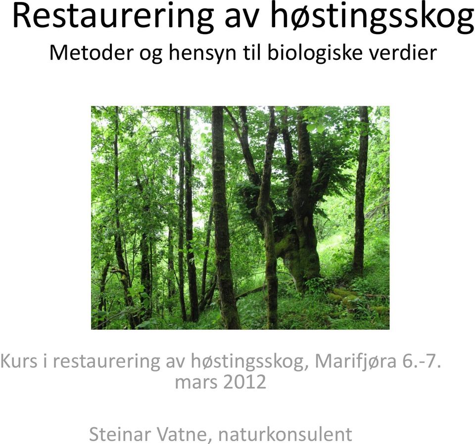 restaurering av høstingsskog, Marifjøra